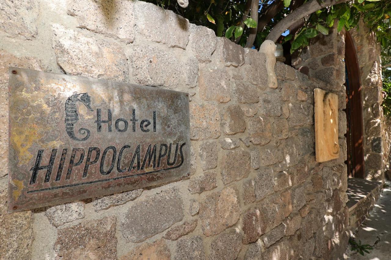 Hotel Hippocampus Perdika  Esterno foto